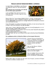 Warum sich im Herbst die Blätter verfärben.pdf